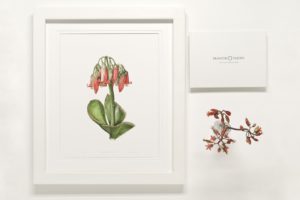 catalogue_001_1622x1080