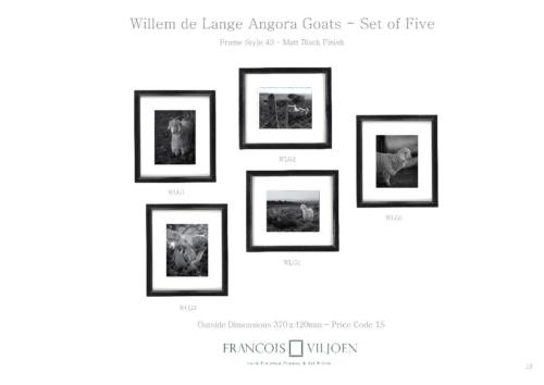ff-catalog-0019